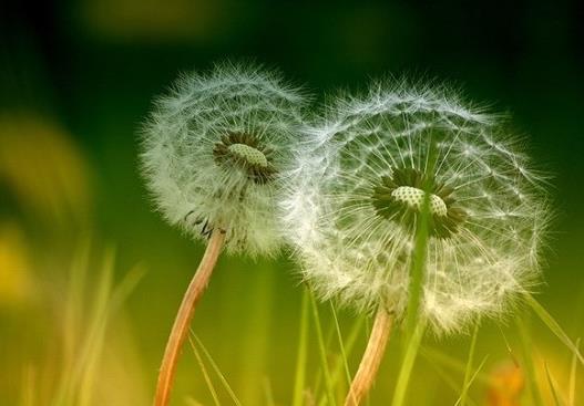 所谓情商高,就是懂得好好说话!