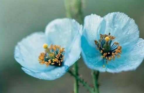 送给那些天真又心软的傻女人