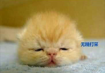 如果,你觉得生活很没意思