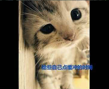 如果,你觉得生活很没意思