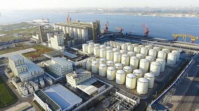 中粮集团在乌克兰投资建成当地最先进粮油中转